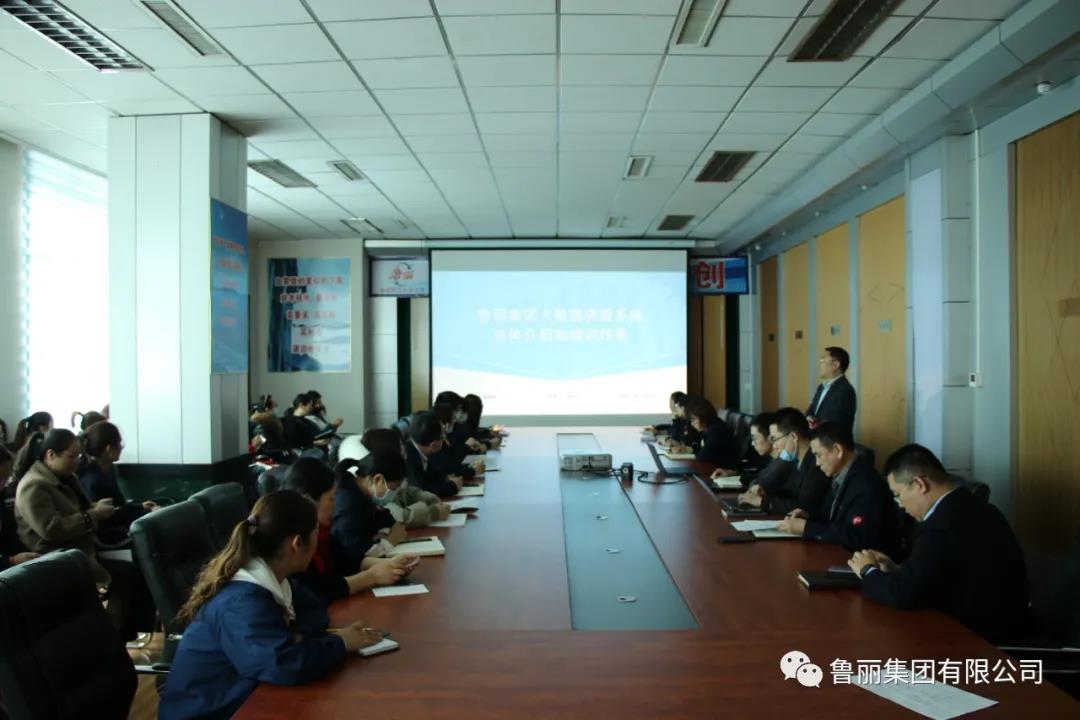 万博manbetx官方网站登录集团举行“大数据决议系统”项目培训会